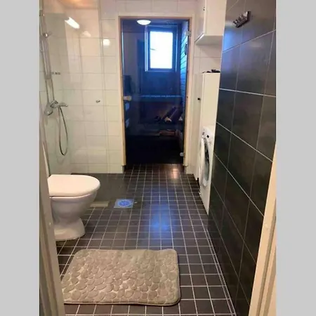 Modern With Sauna Nearby Airport Apartment