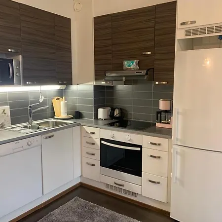 Modern With Sauna Nearby Airport