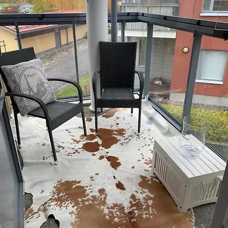 Modern With Sauna Nearby Airport Apartment